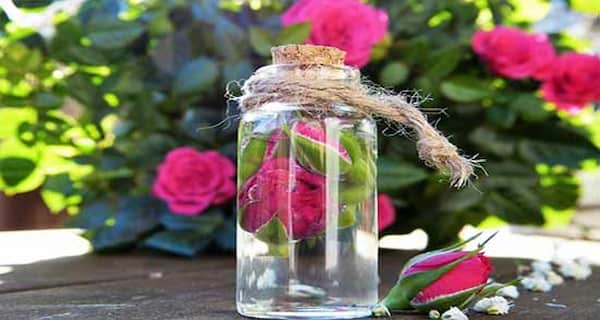تصویر 1 از قیمت خرید گلاب پس آب ارگانیک + فروش ویژه